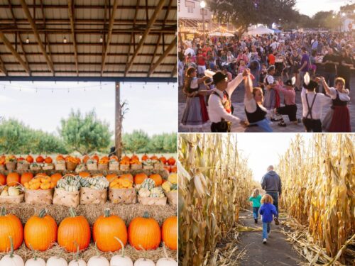 Florida October Florida in Winter: Where to Go When the Temperature Drops
