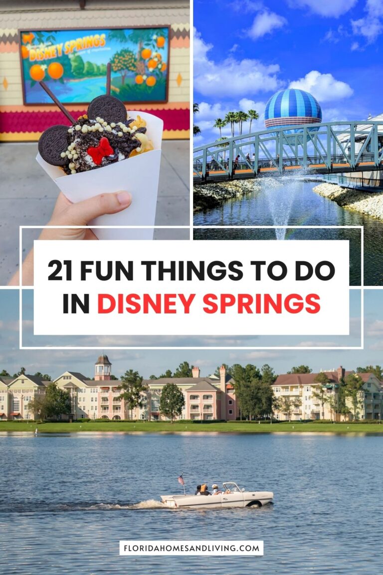 21 Fun Things to do in Disney Springs (2026 Edition)
